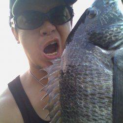 朝マヅメにチヌトップゲーム